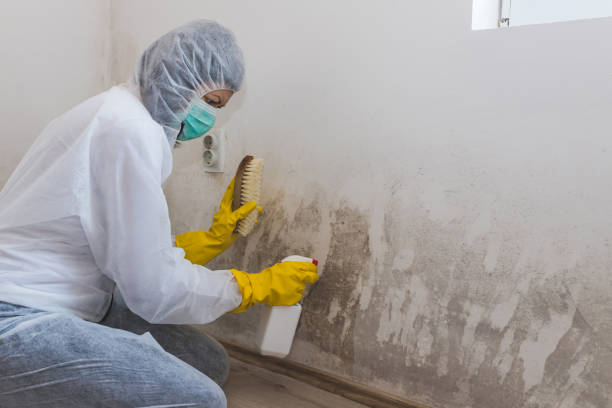 Best Commercial Mold Inspection  in Griffin, GA