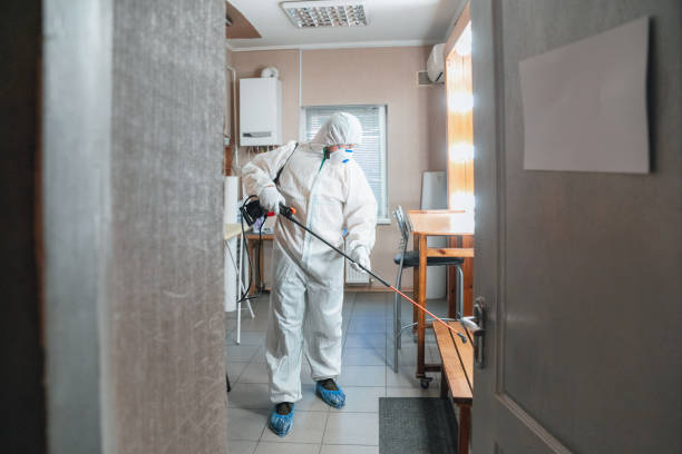 Best Mold Damage Restoration  in Griffin, GA