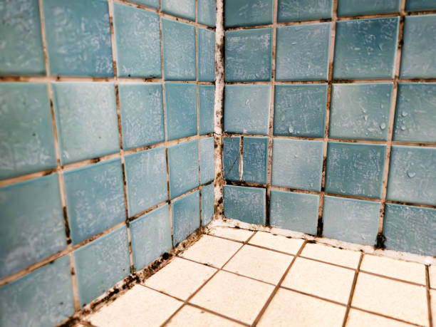 Best Biohazard Mold Removal  in Griffin, GA