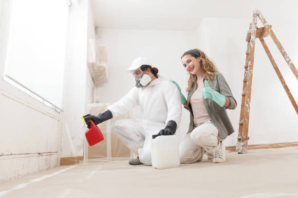 Professional Mold Removal in Griffin, GA