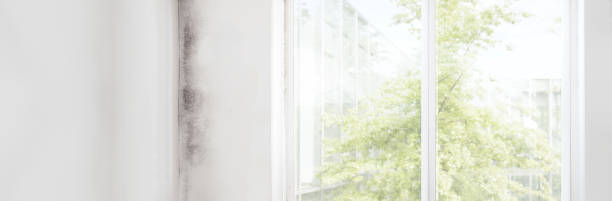 Best Environmental Consulting for Mold Prevention  in Griffin, GA