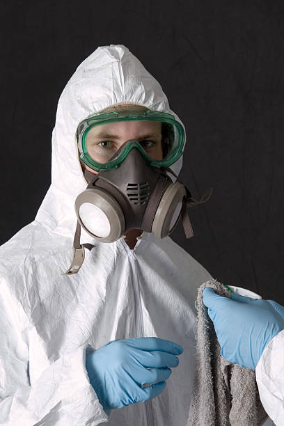 Best Attic Mold Removal  in Griffin, GA